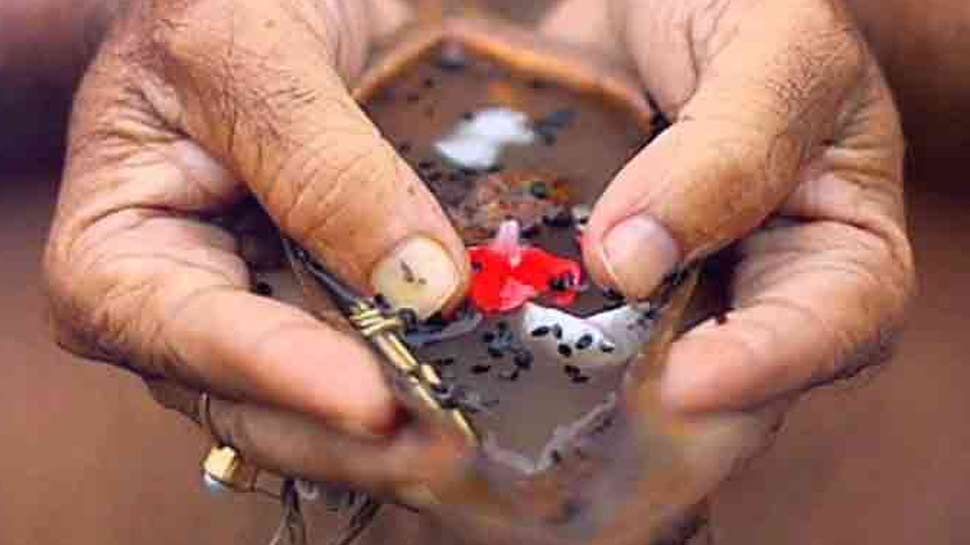 पितरों को मोक्ष दिलाने के लिए घर बैठे कीजिए ऑनलाइन पिंडदान, पुरोहितों ने किया खारिज