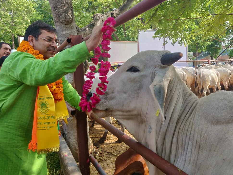 गौशाला में किया गया गौपूजन Narendra Modi, PM Modi, Narendra Modi 69th birthday