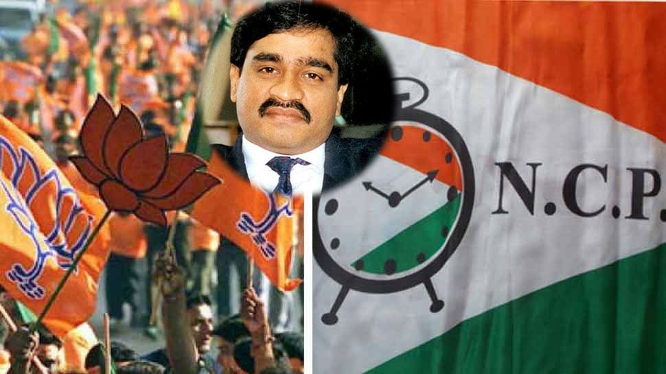 महाराष्ट्र: चुनाव प्रचार शुरू होते ही उछला दाऊद इब्राहिम का नाम, BJP ने साधा शरद पवार पर निशाना