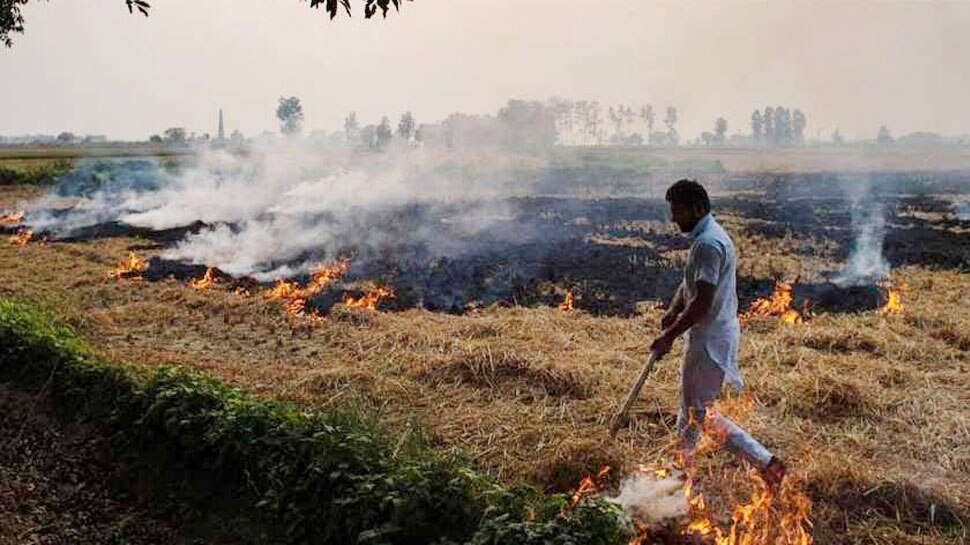 पंजाब में पराली जलाने के खिलाफ सरकार का बड़ा कदम, 22 सीनियर IAS अधिकारी रखेंगे नजर