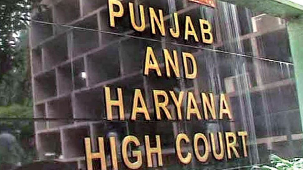 तलाक और पति की मौत के बाद घरेलू हिंसा का केस करना कानून का दुरुपयोग: हाईकोर्ट