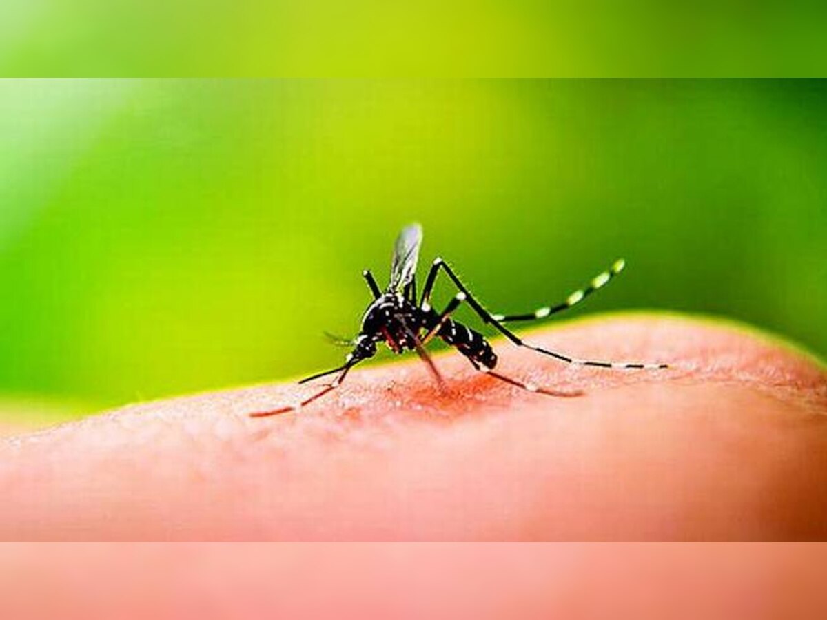 बिहार में बढ़ रहा है डेंगू मरीजों की संख्या.