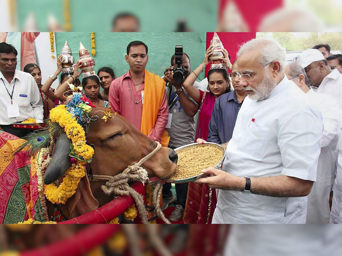 1 गाय साल में करीब 2,000 किलो देती है दूध, PM मोदी ने बनाया नया मिशन