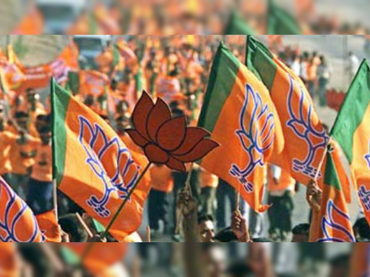 इस अभियान के तहत बीजेपी कार्यकर्ता गांव-गांव जाएंगे. (प्रतीकात्मक तस्वीर)