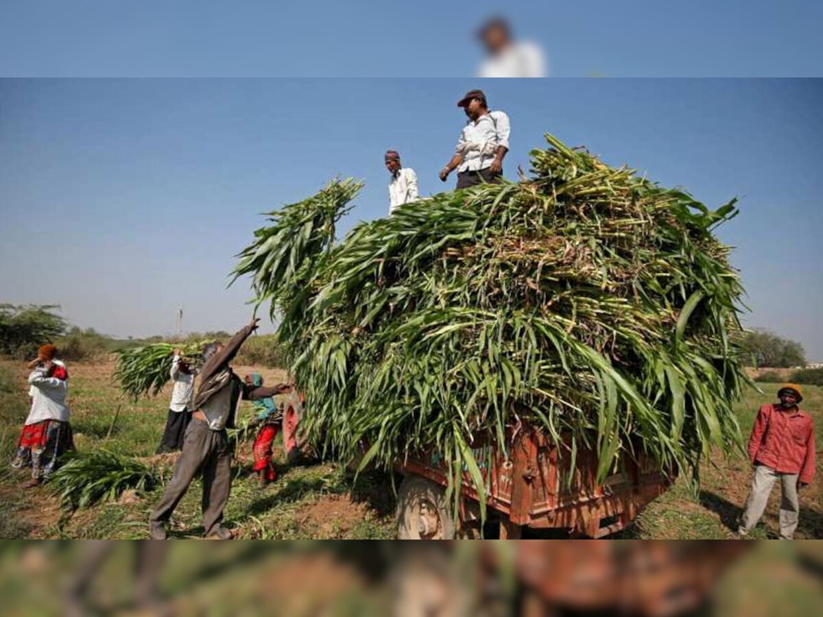 प्रतीकात्मक तस्वीर