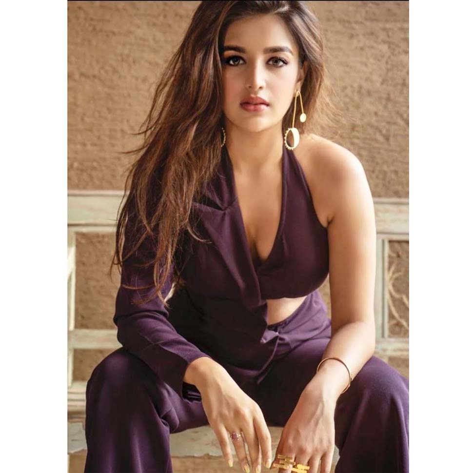 टाइगर श्रॉफ के साथ आई थीं नजर Nidhhi Agerwal