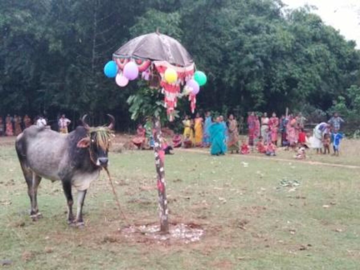ସୌଜନ୍ୟ: ସୋସିଆଲ ମିଡିଆ