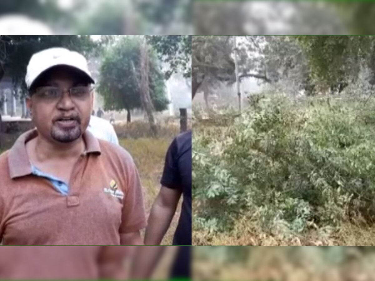 राजस्थान: सर्किट हाउस से 3 चंदन के पेड़ काट कर फरार हुए चोर, स्थानीय लोगों में आक्रोश