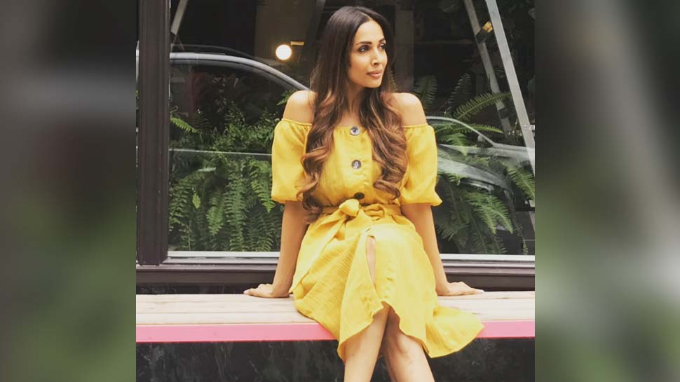 इन आइटम नंबर्स से हुईं मशहूर Malaika Arora
