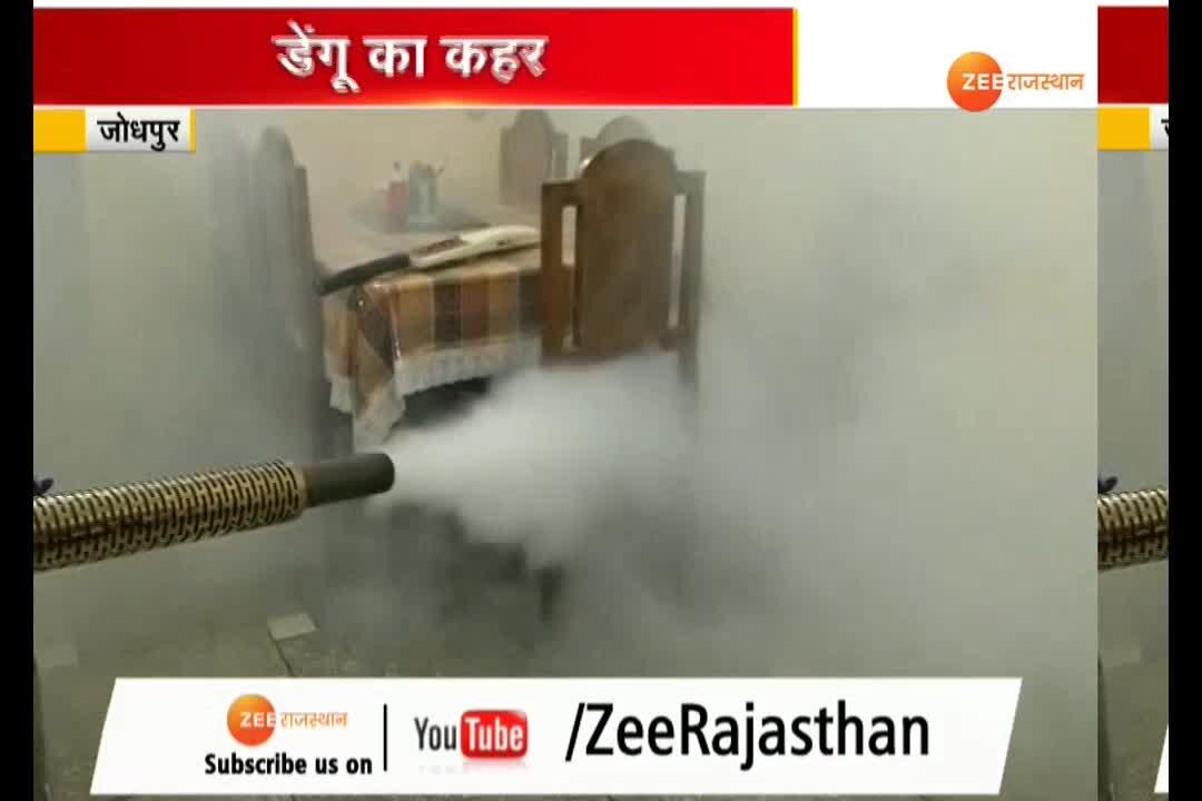 Jodhpur Dengue patients increasing continuously जोधपुर लगातार बढ़