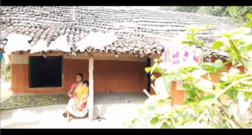 ओड़िशा: संजना की जान तुलसी के पौधे में है, अब तो अंधविश्वास की हद हो गई