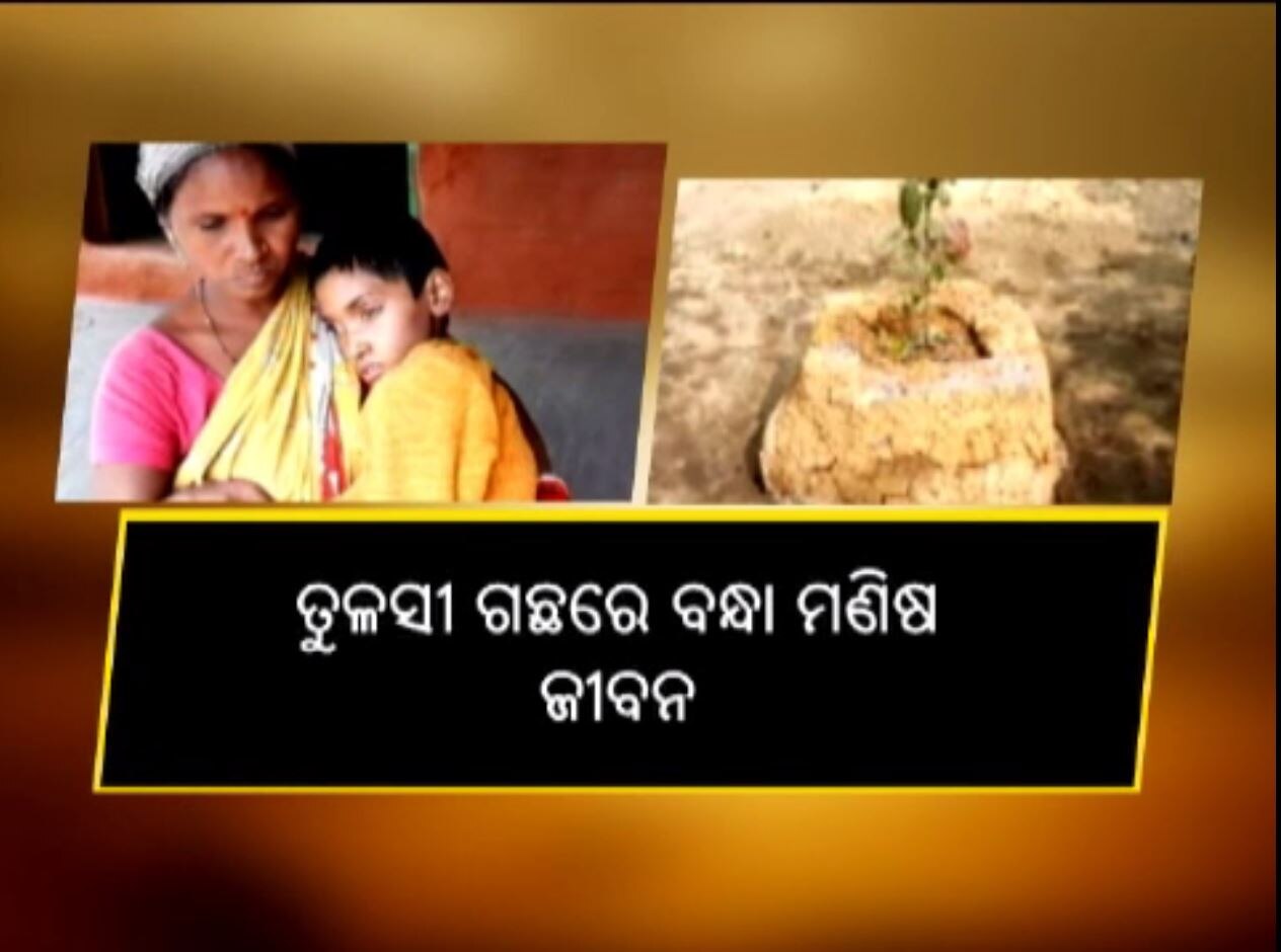 ତୁଳସୀ ବଞ୍ଚିଲେ, ସଞ୍ଜନା ବଞ୍ଚିବ