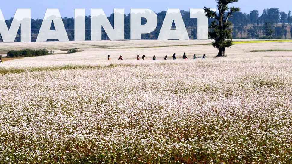 पर्यटकों के लिए अबूझ पहेली है छत्तीसगढ़ का यह टूरिस्ट प्लेस, जरा सा उछलो तो हिलने लगती है जमीन