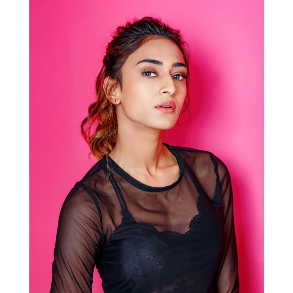 इस टीवी सीरियल से मिली पहचान Erica Fernandes