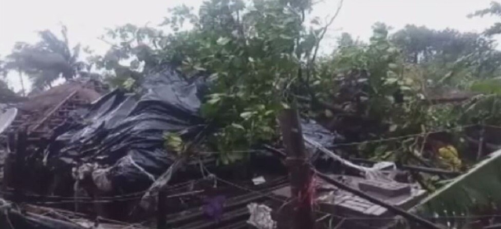 ବୁଲ୍ବୁଲ୍ ପାଇଁ ଆତଙ୍କିତ ପାରାଦୀପବାସୀ