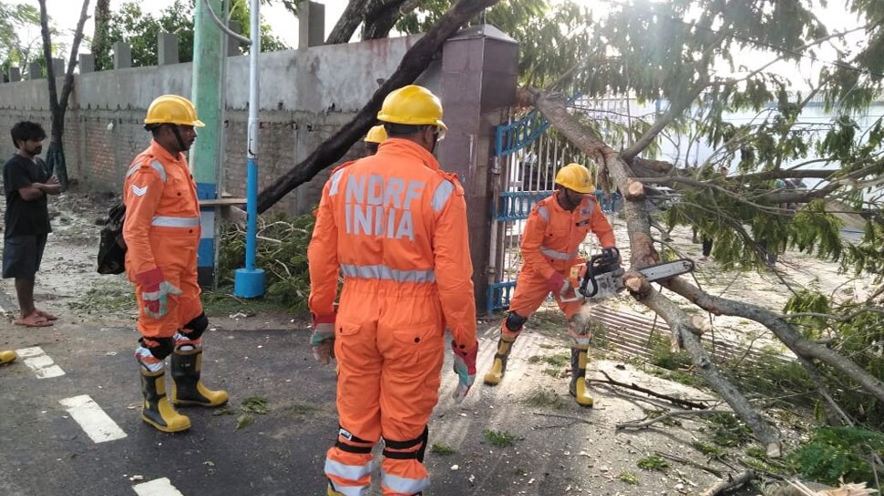 चक्रवाती तूफान 'बुलबुल', पश्चिम बंगाल में कई जगह टूटे पेड़, ओडिशा में एक की मौत
