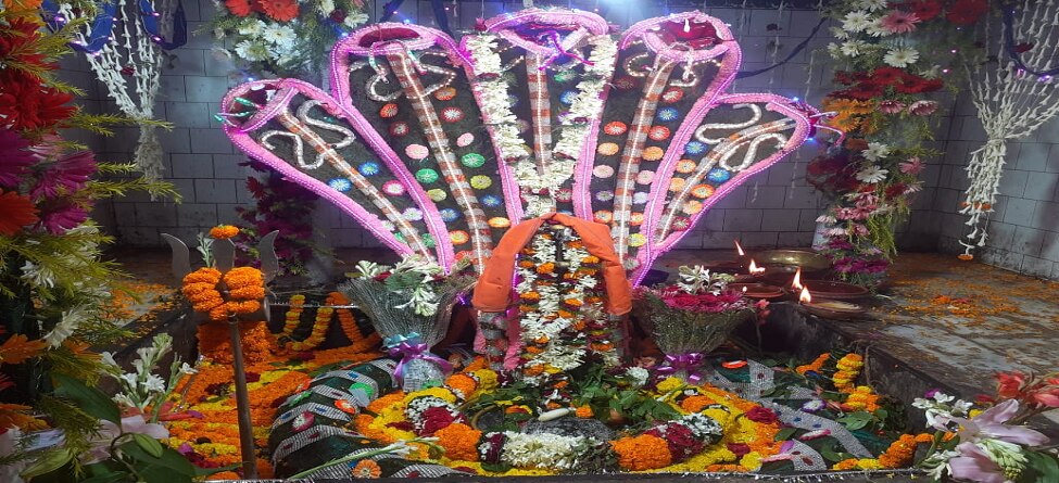ସରିଲା ବଡ ଓଷା; ଧବଳେଶ୍ଵରଙ୍କ ପୀଠରେ ଲାଗି ହେଲା ଗଜଭୋଗ
