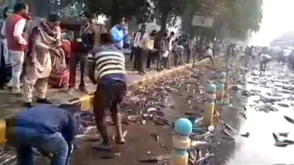VIDEO: मछलियों से भरा ट्रक पलटा, बटोरने के लिए दौड़े लोग VIDEO: मछलियों से भरा ट्रक पलटा, बटोरने के लिए दौड़े लोग