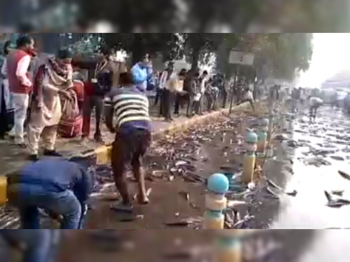 VIDEO: मछलियों से भरा ट्रक पलटा, बटोरने के लिए दौड़े लोग