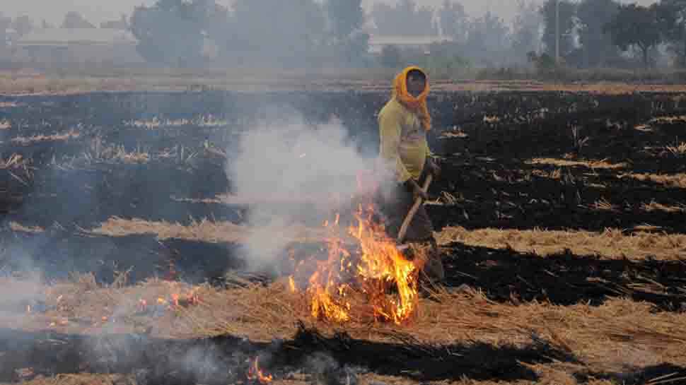मथुरा: पराली जलाने वाले 250 किसानों को जारी हुआ नोटिस, भरना पड़ेगा जुर्माना