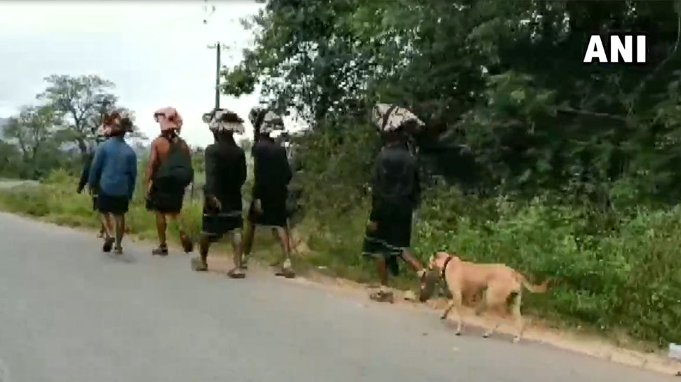 VIDEO: सबरीमाला की पैदल यात्रा पर निकला बेजुबान 'भक्त', 18 दिनों में चला 480 किलोमीटर