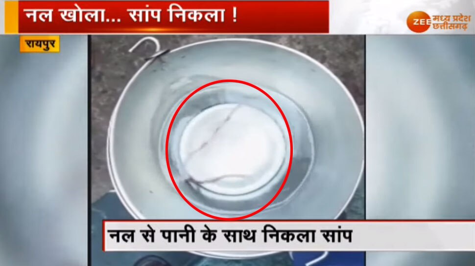 VIDEO: पीने के लिए महिलाएं भर रही थीं पानी, अचानक बाल्टी में आ गया सांप और फिर...