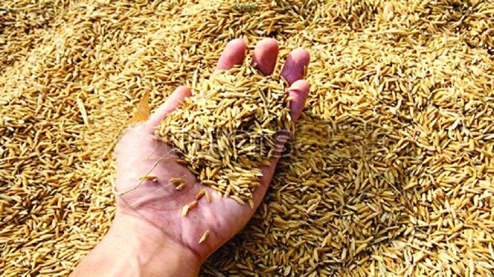 पटना: सरकार की किसानों को सौगात, पैड़ी प्रोक्योरमेंट के जरिए होगी धान की खरीदारी