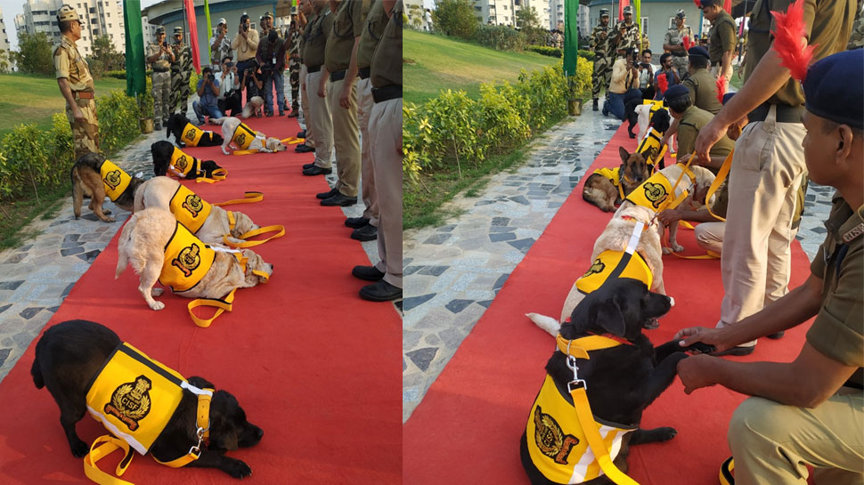 CISF के 7 कुत्ते हुए रिटायर, रिटायरमेंट सेरेमनी में भावुक हुए जवान