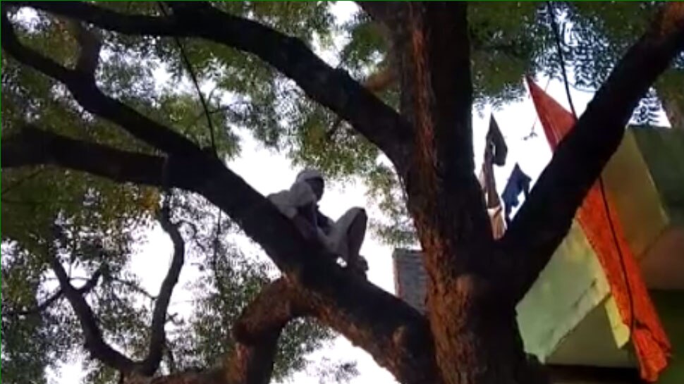 झालावाड़: सालों बाद पेड़ पर से आई हरबोले की आवाज तो चौंक गया हर कोई