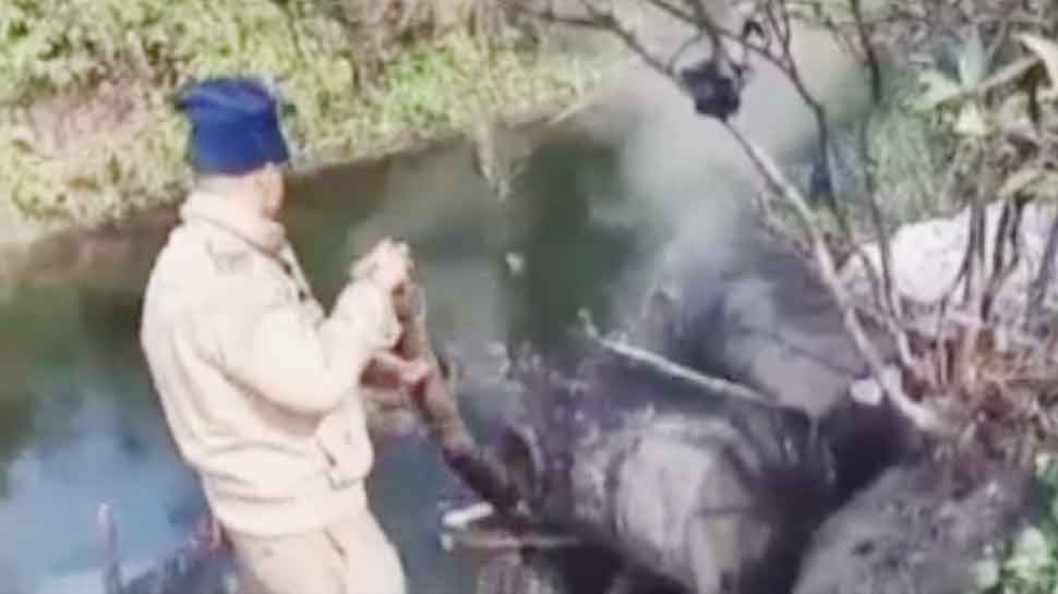 उत्तराखंड: नहीं रुक रहा कच्ची शराब बनाने का सिलसिला, पुलिस ने 8 भट्ठियों पर की छापेमारी