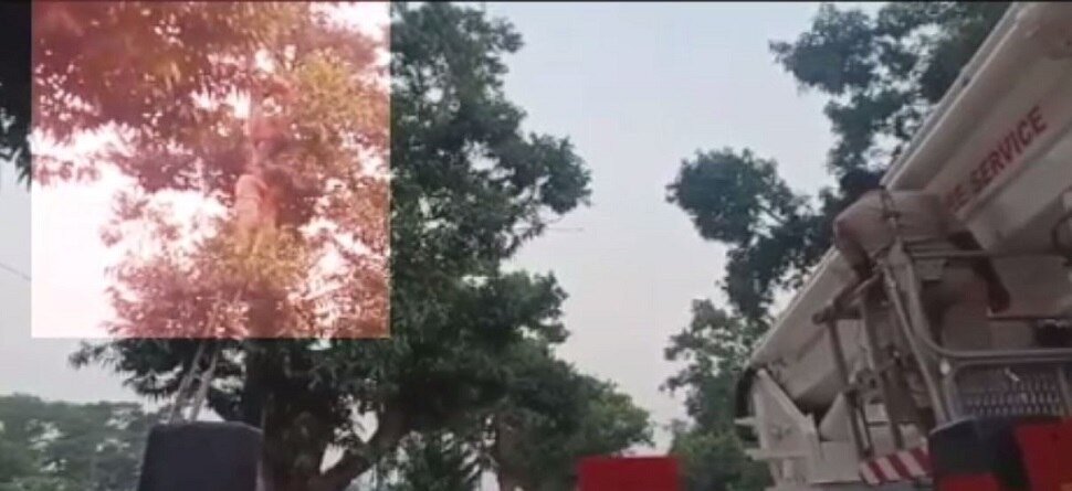 ବିଧାନସଭା ସମ୍ମୁଖରେ ଗାଁ ସାଥୀ ସଂଘର ଜଣେ ଆନ୍ଦୋଳନକାରୀଙ୍କ ଆତ୍ମହତ୍ୟା ଉଦ୍ୟମ