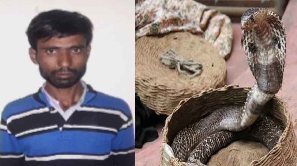 MP: खुद को इच्छाधारी नाग-नागिन बताकर नाबालिग से करता था बलात्कार, अब हुआ गिरफ्तार