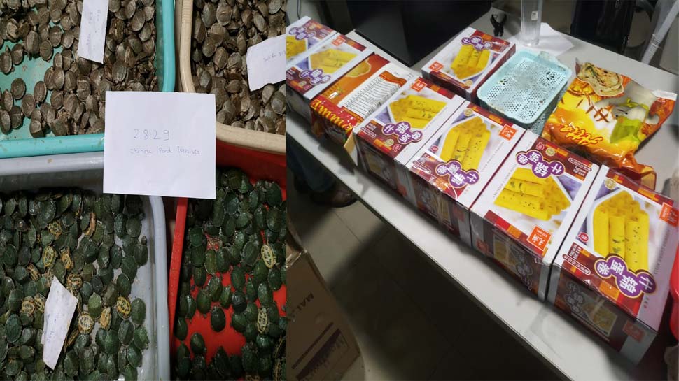 दूर से दिख रहा था बिस्किट का डिब्बा, DRI की पैनी नजर ने जब देखा तो रह गए हक्का-बक्का