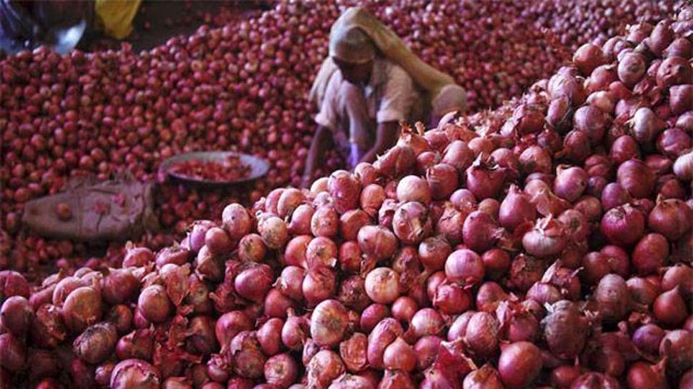पटना: बिस्कोमान बेच रहा सस्ते दाम में प्याज, मंगलवार को 1.20 लाख किलो प्याज बिका पटना: बिस्कोमान बेच रहा सस्ते दाम में प्याज, मंगलवार को 1.20 लाख किलो प्याज बिका