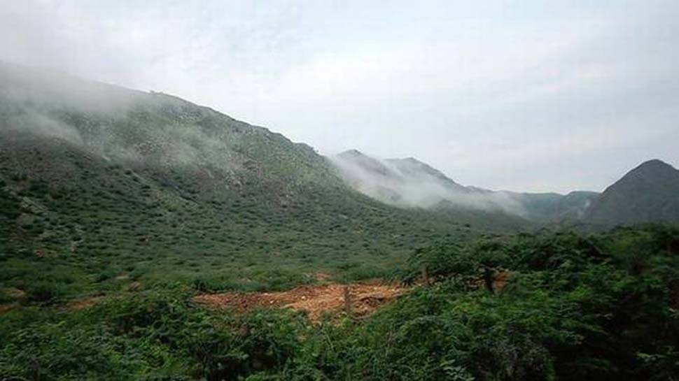 हरियाणा: वन क्षेत्रों को बचाने के लिए हाईकोर्ट सख्त, दिया ये बड़ा आदेश