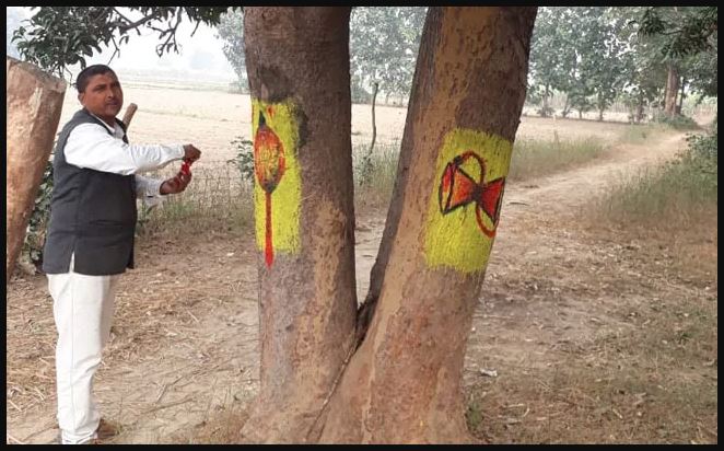 भारत का ट्रीमैन जिसने पेड़ों की कटाई रोकने का खोज निकाला देसी फॉर्मूला