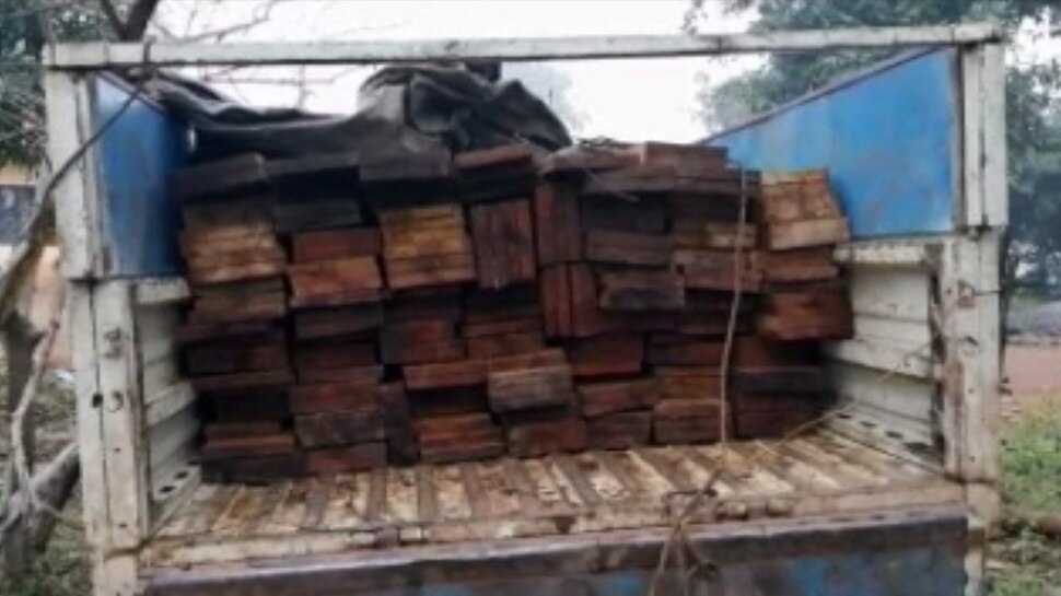 चाईबासा: वन विभाग ने की छापेमारी, वाहन समेत 3 लाख की लकड़ी को किया जब्त