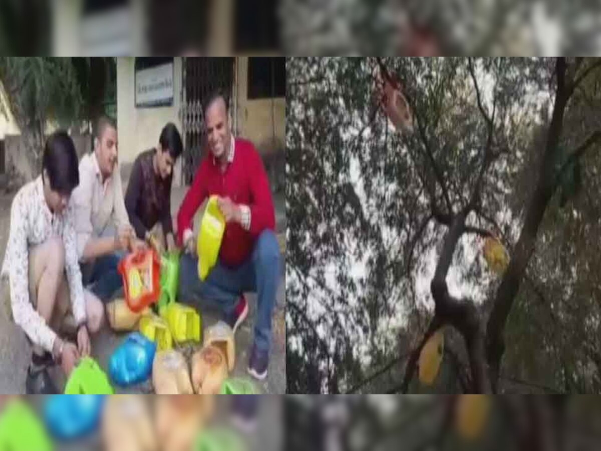 MP: पक्षियों को सर्दी से बचाने के लिए इन युवकों ने निकाला गजब तरीका, पढ़िए पूरी खबर
