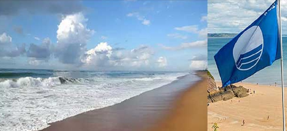 ଜାନୁୟାରୀରୁ ଖୋଲିବ ପୁରୀରେ ବ୍ଲୁ ଫ୍ଲାଗ ବିଚ୍; ଏବେଠୁ ଜମିଲାଣି ଭିଡ଼