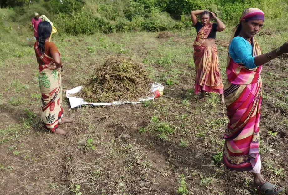 मराठवाड़ाः गर्भाशय निकलवा कर मजदूरी कर रही हैं महिलाएं, मंत्री ने लिखा पत्र