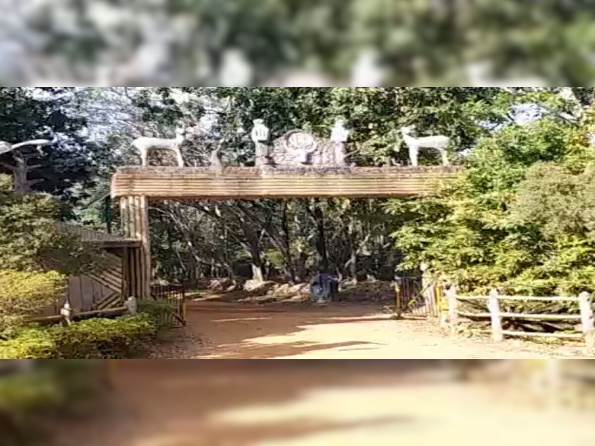 ଡେବ୍ରୀଗଡ଼ ଅଭୟାରଣ୍ୟରେ ଜମୁଛି ପର୍ଯ୍ୟଟକଙ୍କ ଭିଡ଼