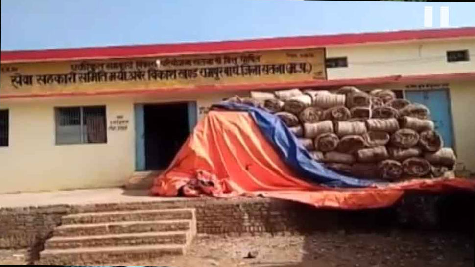 सतना: प्रशासन की लापरवाही से किसान परेशान, अधिकांश धान खरीदी केंद्र पड़े हैं बंद