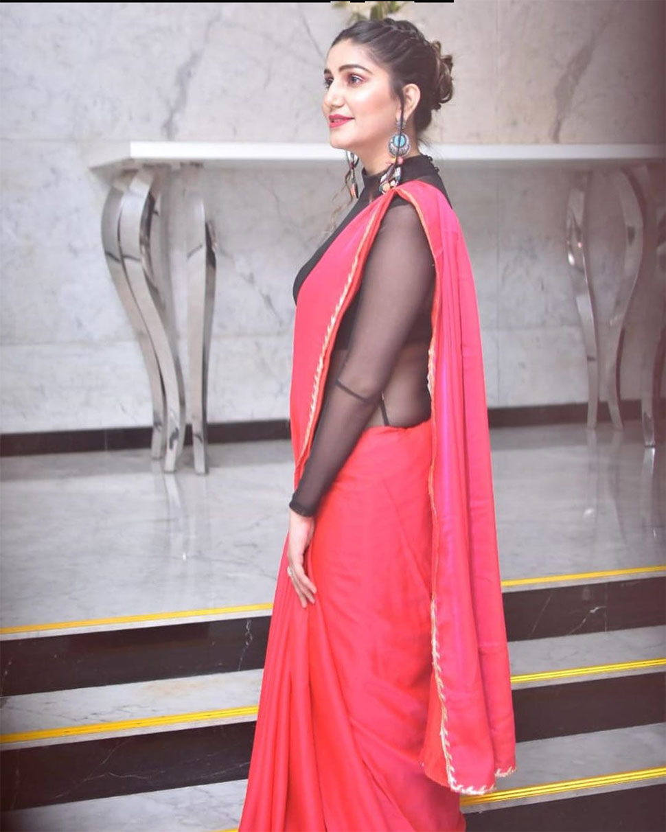 किसी भी पहचान की मोहताज नहीं हैं सपना Sapna Choudhary