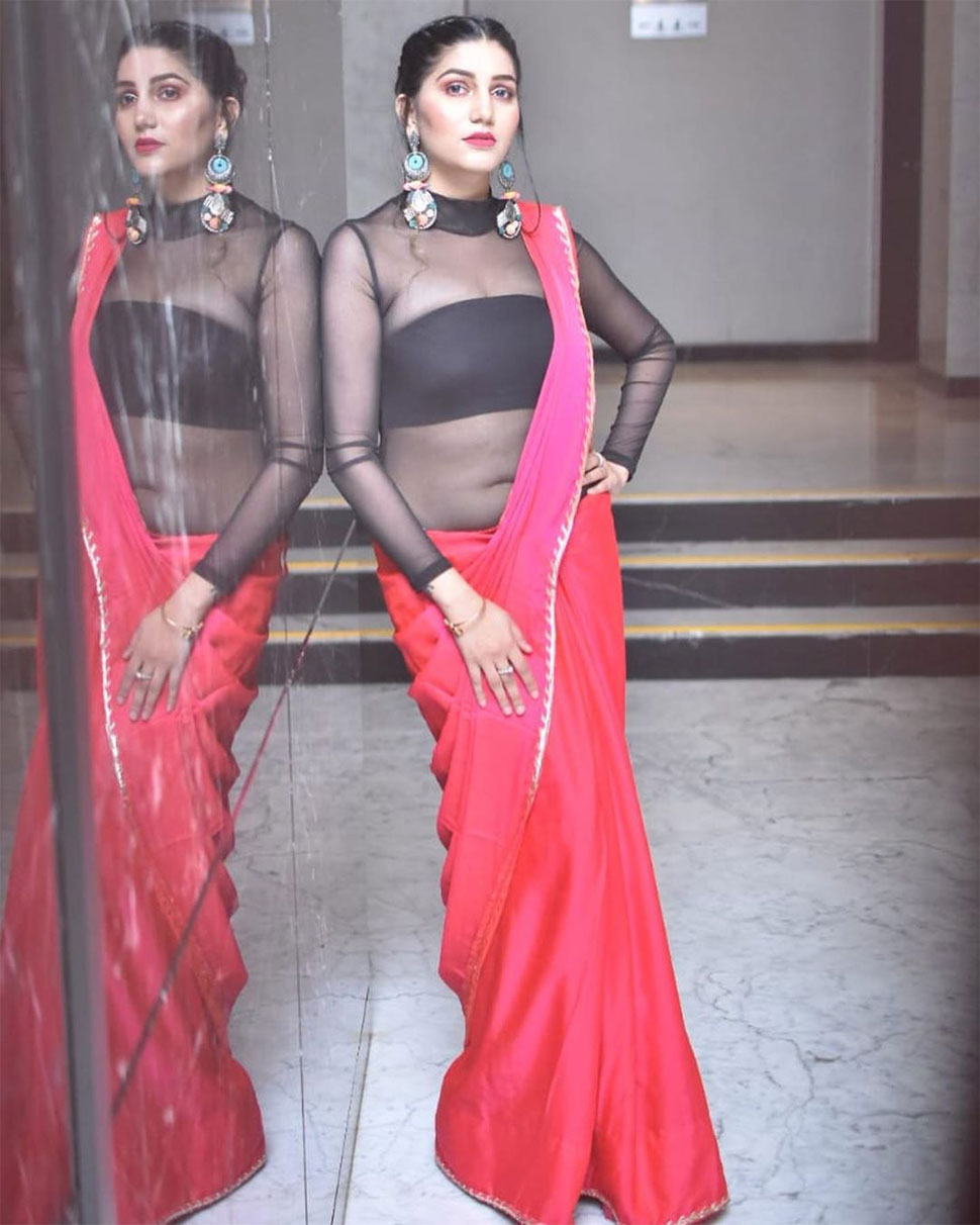 एक्टिंग और सिंगिंग में भी कर चुकी हैं डेब्यू Sapna Choudhary