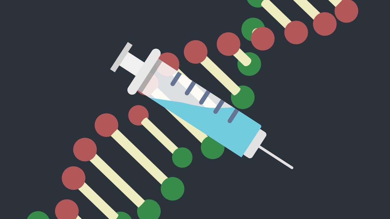 कोरोना का टीका खोजने के लिए चीन में चूहे और बंदर पर टेस्टिंग 