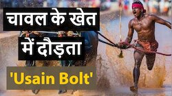 VIDEO : एक भारतीय मजदूर, भैंस की रेस और Usain Bolt!