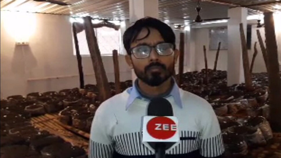 बिहार: सैकड़ों किसानों को मशरूम से हो रही बंपर कमाई, युवा इंजीनियर ने दिखाया रास्ता