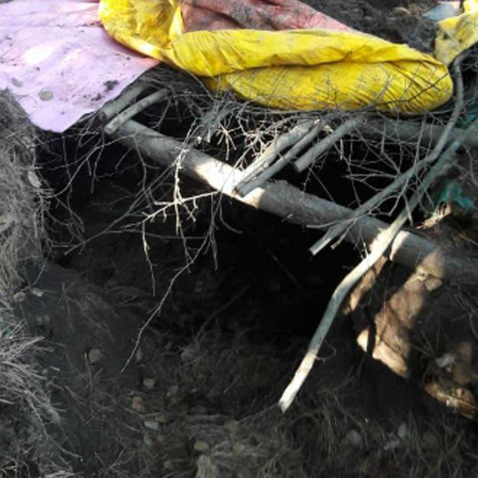जमीन के नीचे रहते थे आतंकी Terrorist hideout busted
