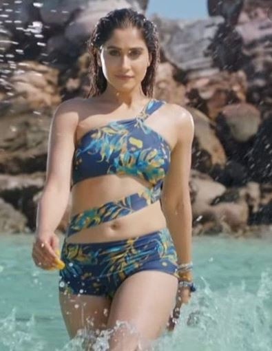 बॉलीवुड फिल्मों में करने जा रही हैं डेब्यू regina Bollywood debut