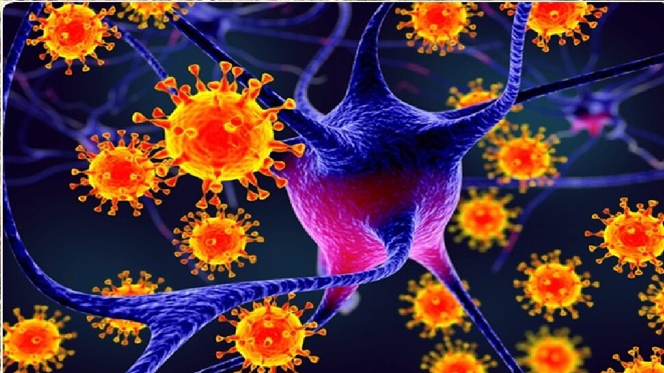 COVID-19: फ्रांस में कोरोना की वजह से स्थिति भयावह, 24 घंटे में 499 लोगों की मौत